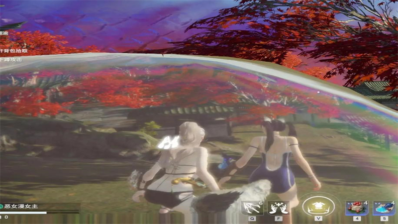30.jpg